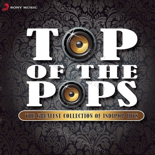 Tera Intezar (The Waiting For You Mix) Rahul Vaidya MP3 Download